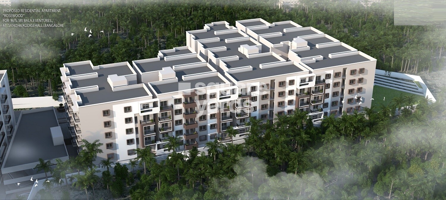 Sri Balaji Rose Woods Tower View 4