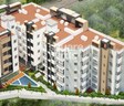 Sri Mitra Solitaire