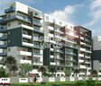 Srinivasa Classic