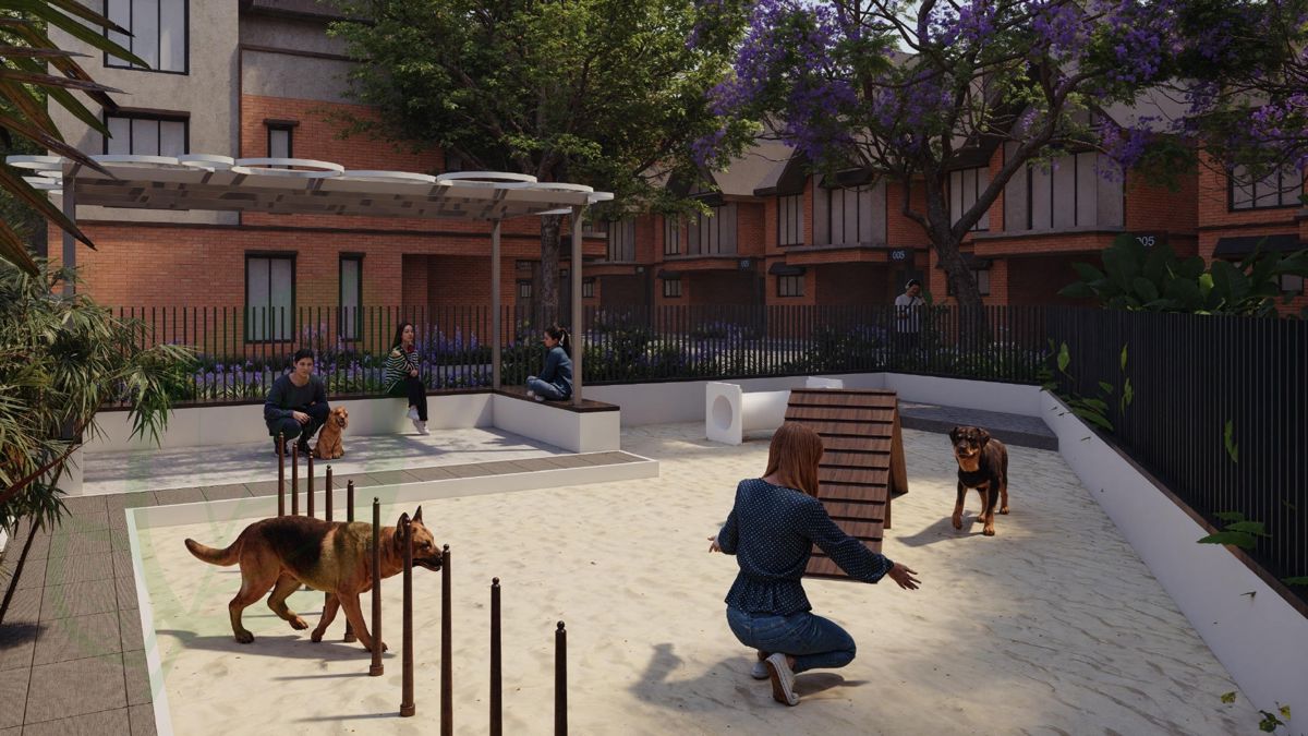 SSD Under The Stars Amenities-Features