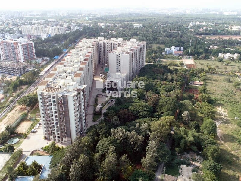 Suncity Gloria Apartments Tower View 3