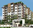 Surya Elegance