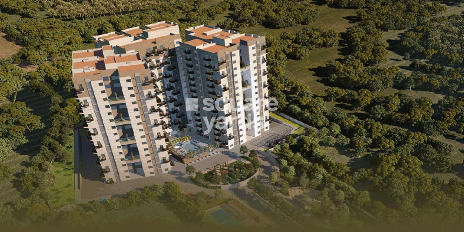 Surya Humming Bird Featured Image