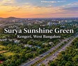 Surya Sunshine Green