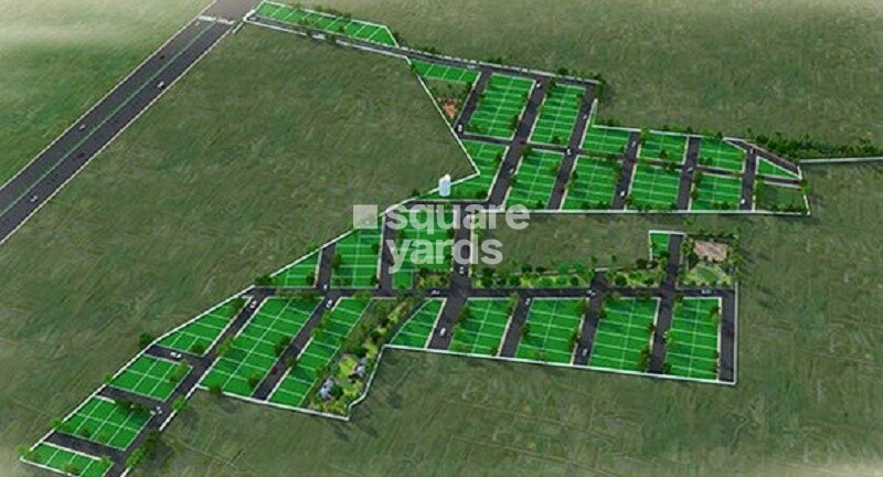 Svamitva-Sylvia-City_a green field filled with lots of green plants