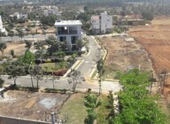 Taapasi Rosevista Plot Images