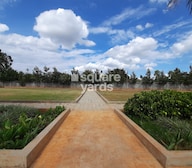 Taapasi Summer Bay Plot Images