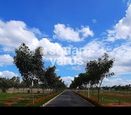 Taapasi Summer Bay Plot Images