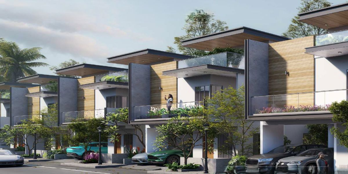 TBC Grand Lapalacio Featured Image