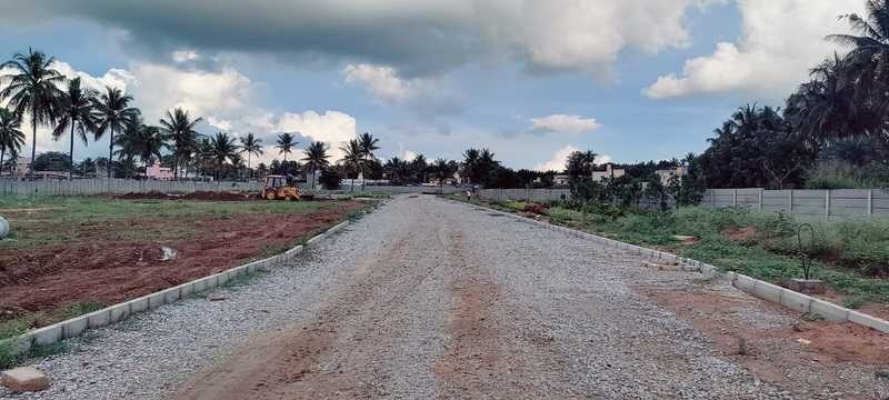 Technocon North Maple