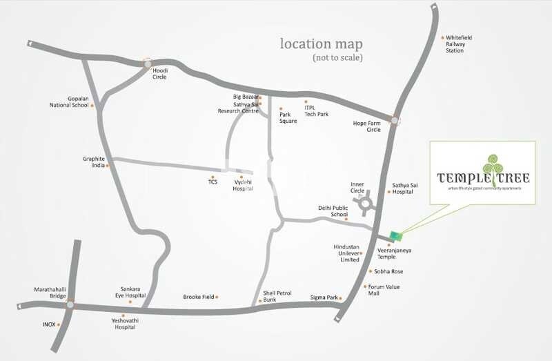 Temple Tree Location Image