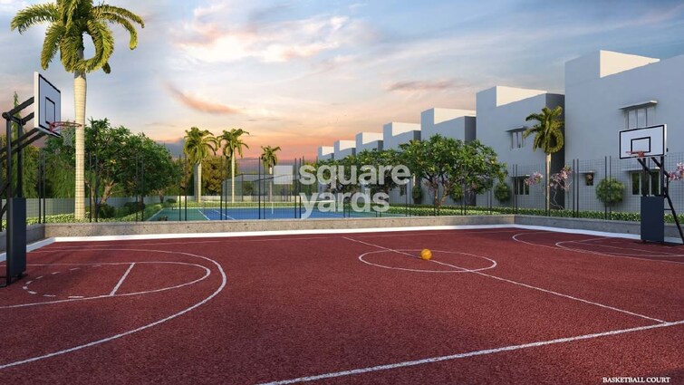 Terra Alegria Amenities-Features 2