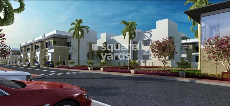 Terra Alegria Tower View 2