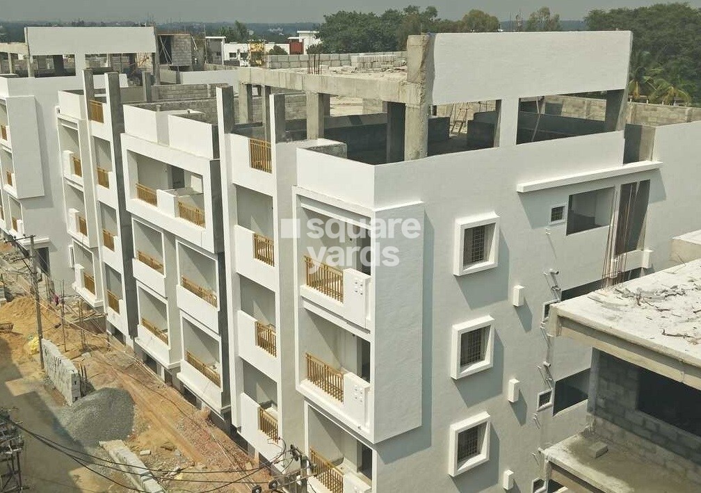 Tetra Grand Green Admire