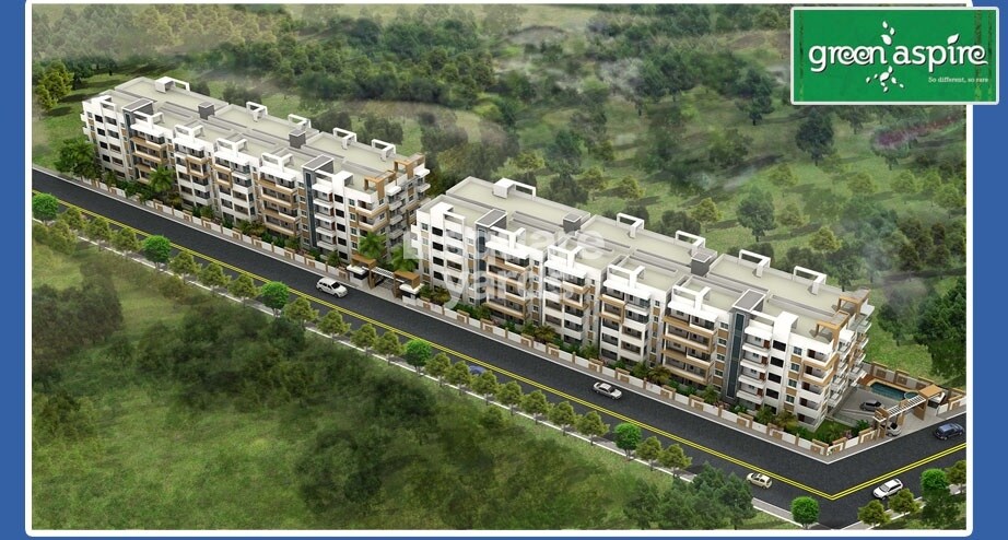 Tetra Grand Green Aspire Thanisandra