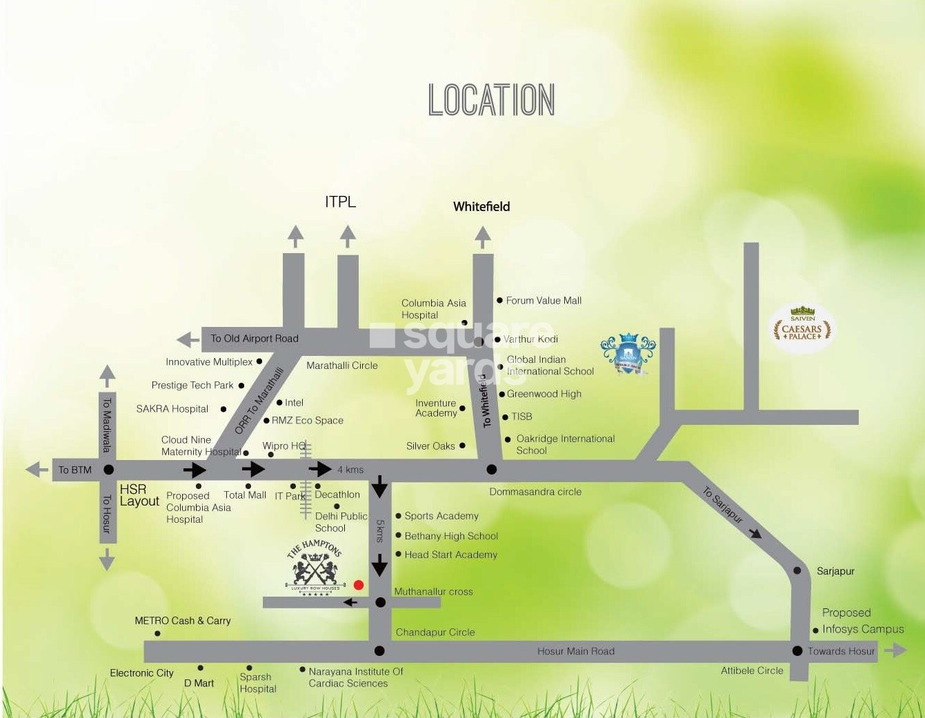 The Hamptons Location Image