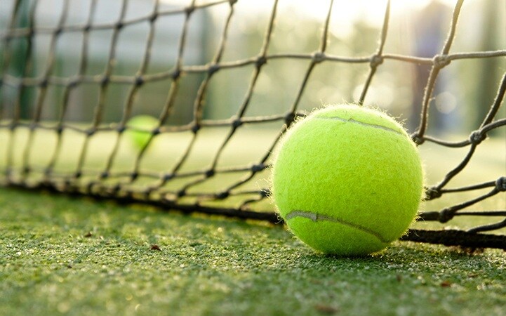 The Woods Of East Phase 8 Amenities-Features