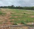 The Woods Of East Phase 8