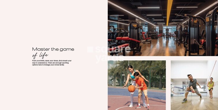 Theme Signature One Amenities-Features