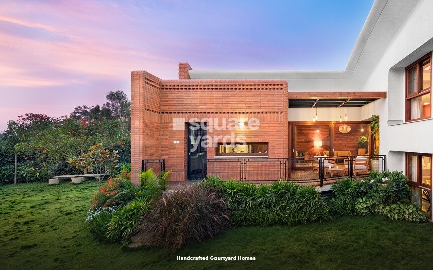 Total Environment After The Rain