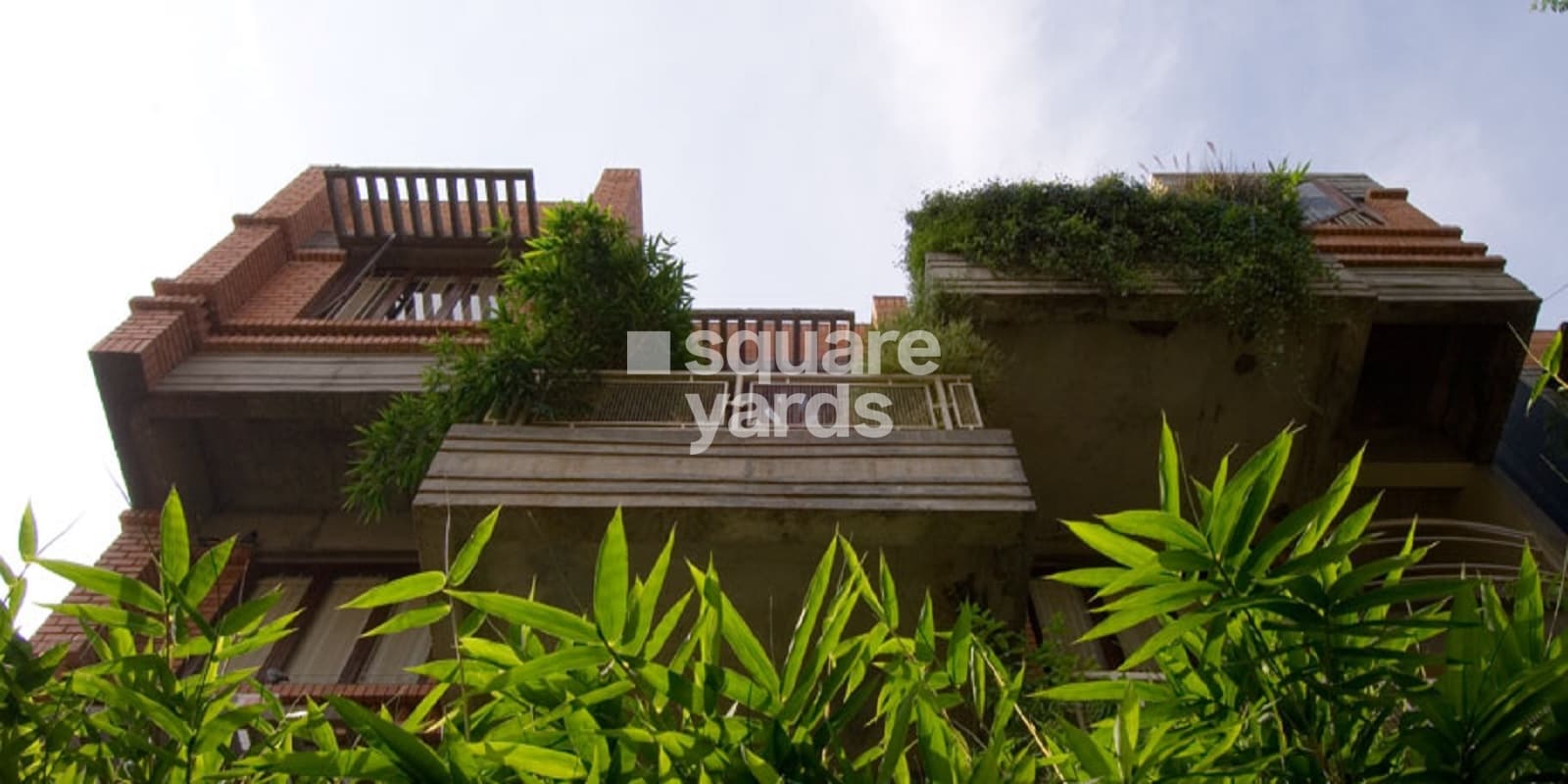 Total Environment Freebird