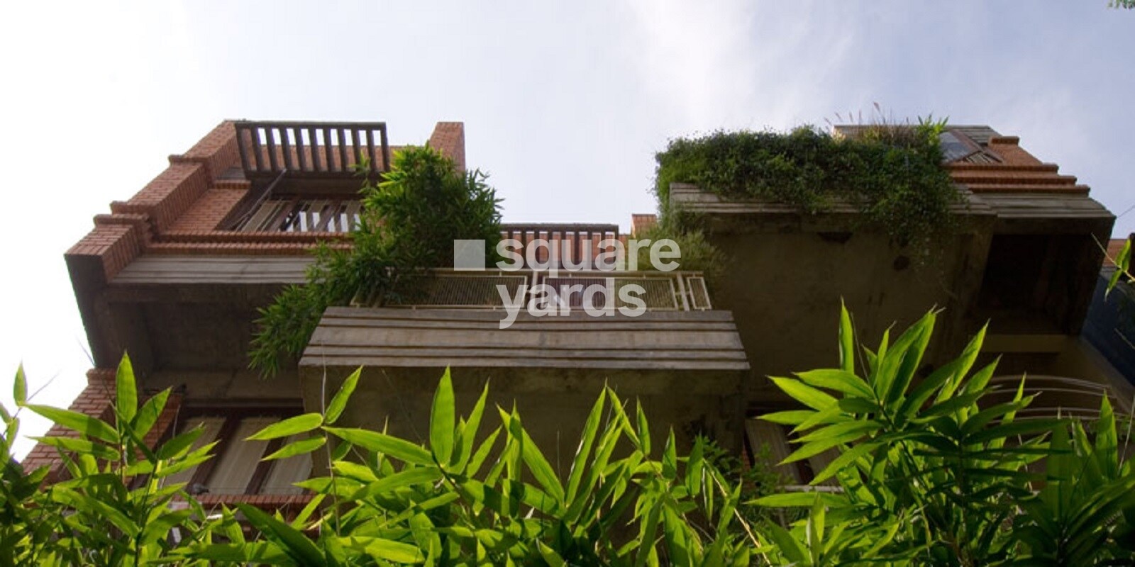 Total Environment Freebird