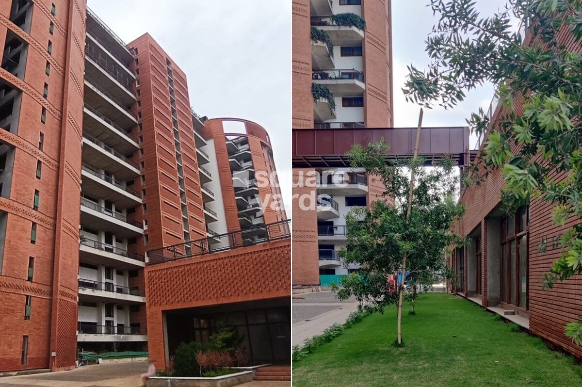 Total Environment Learning To Fly Tower View 2