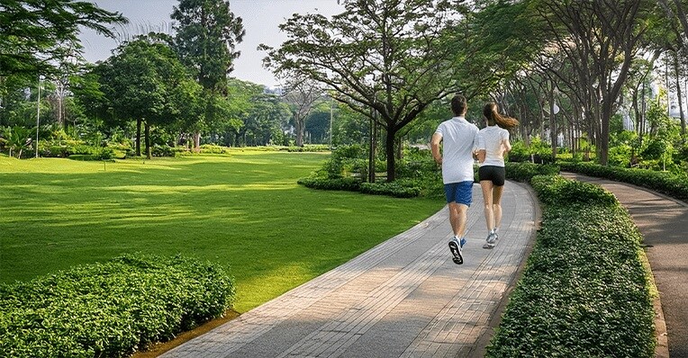 Total Environment Tangled Up In The Green Amenities-Features 7