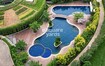 Total Environment Windmills Of Your Mind Amenities Features
