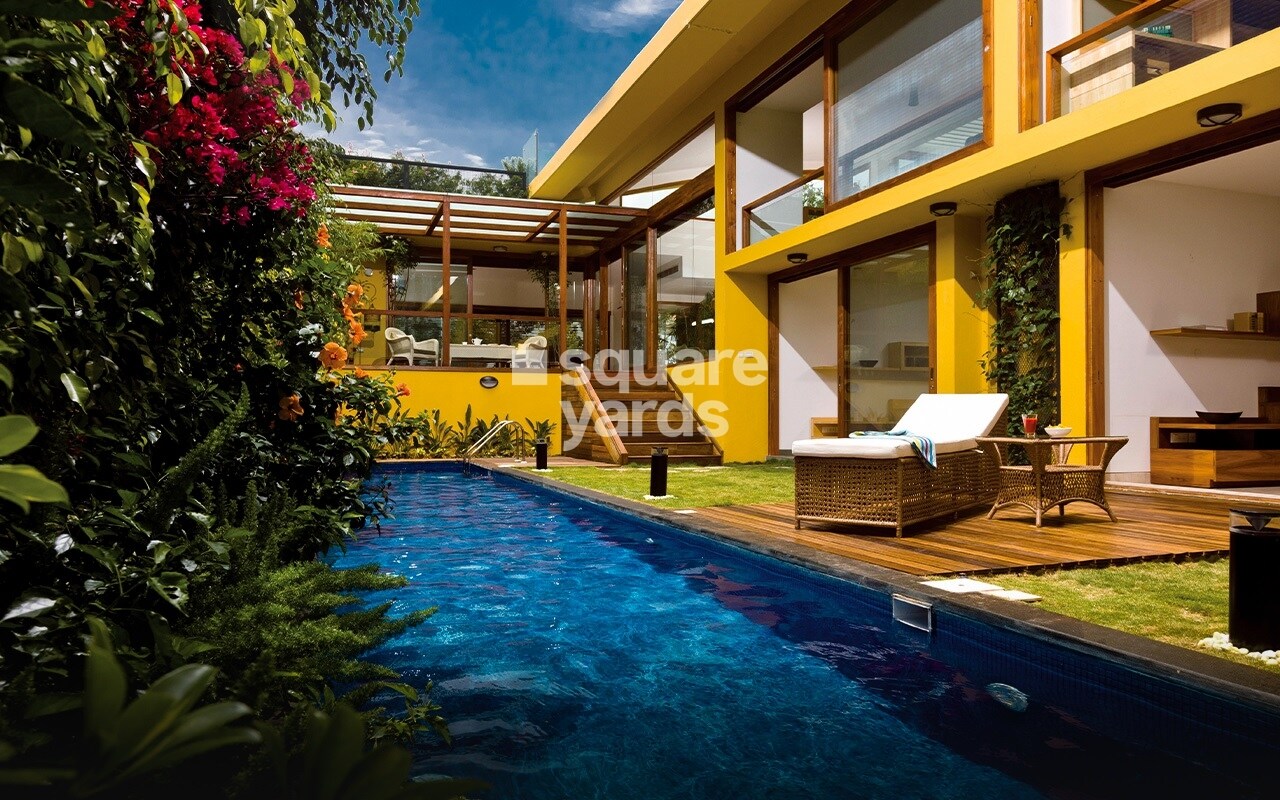 Total Environment Windmills Of Your Mind Amenities-Features 3