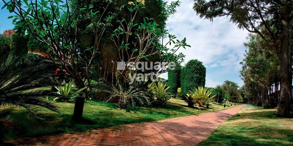 Total Environment Windmills Of Your Mind