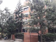 Total Green is the colour Tower View