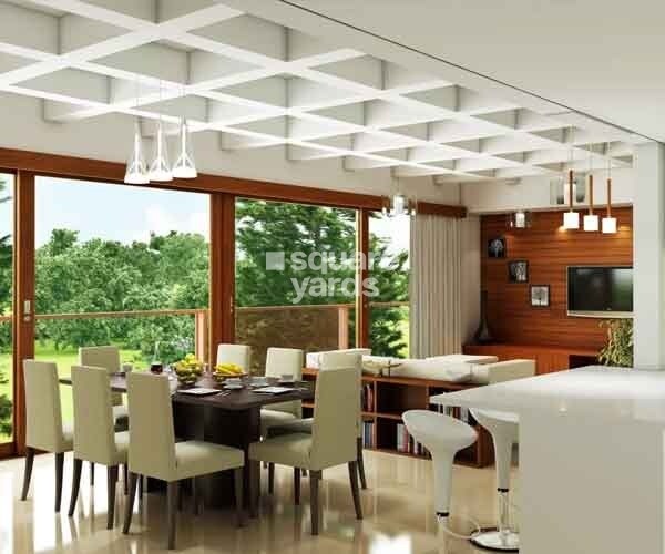 Total Lost In The Greens