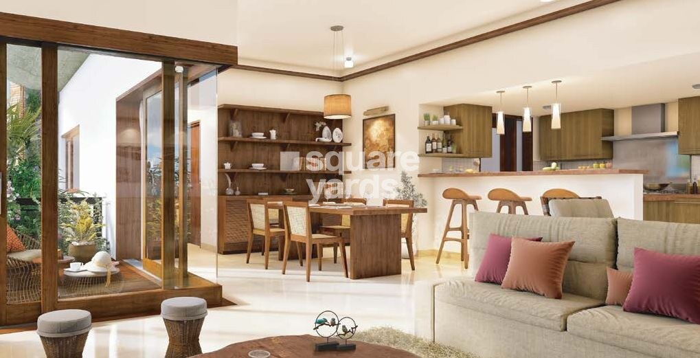 Total Pursuit of a Radical Rhapsody Phase 2