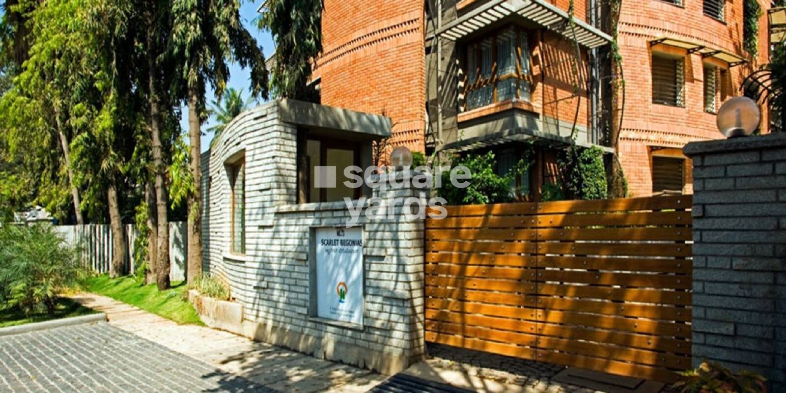 Total Scarlet Begonias