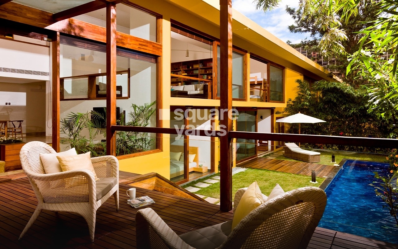 Total Windmills of Your Mind