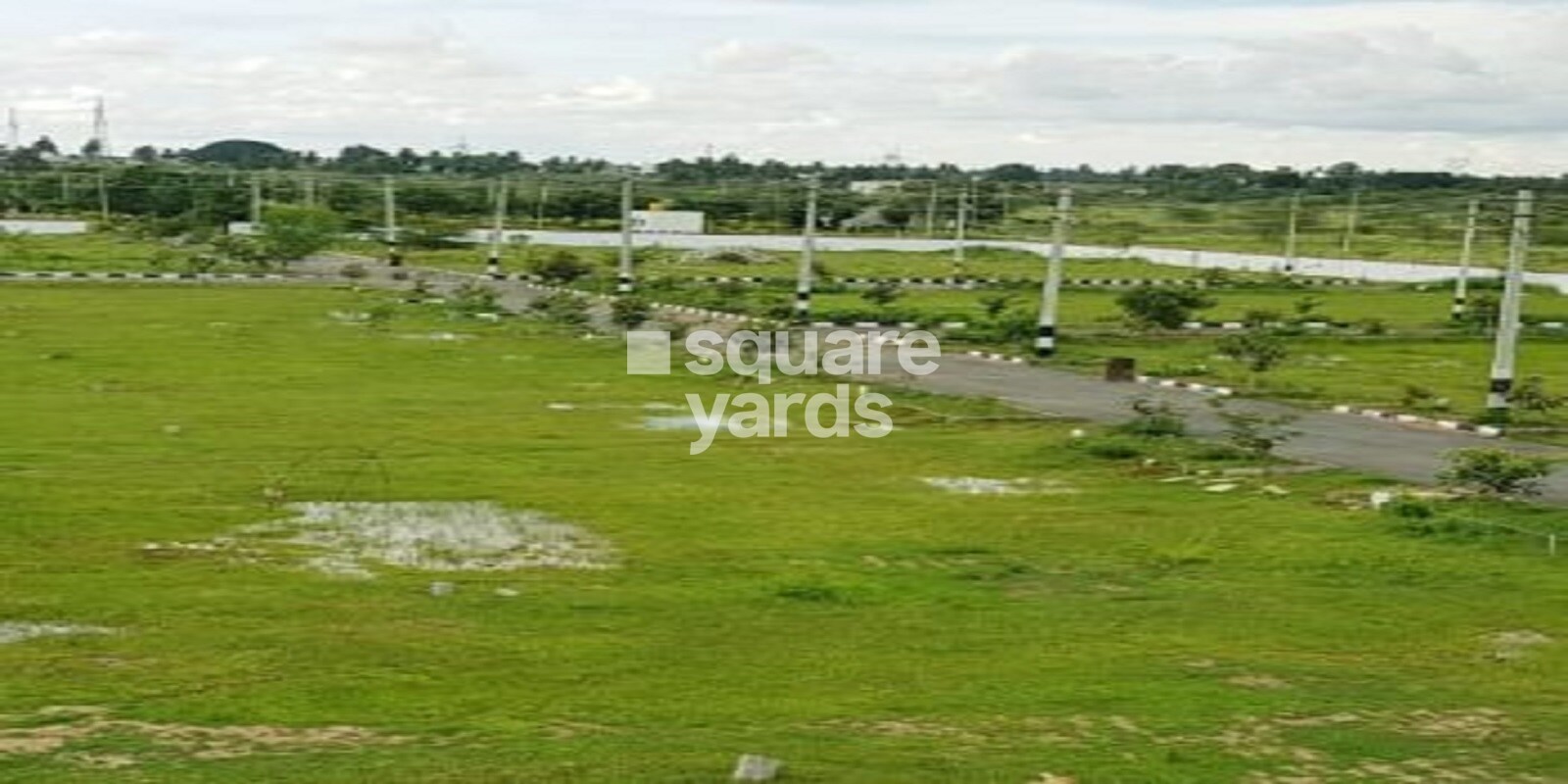 Tricolour Clay Groove