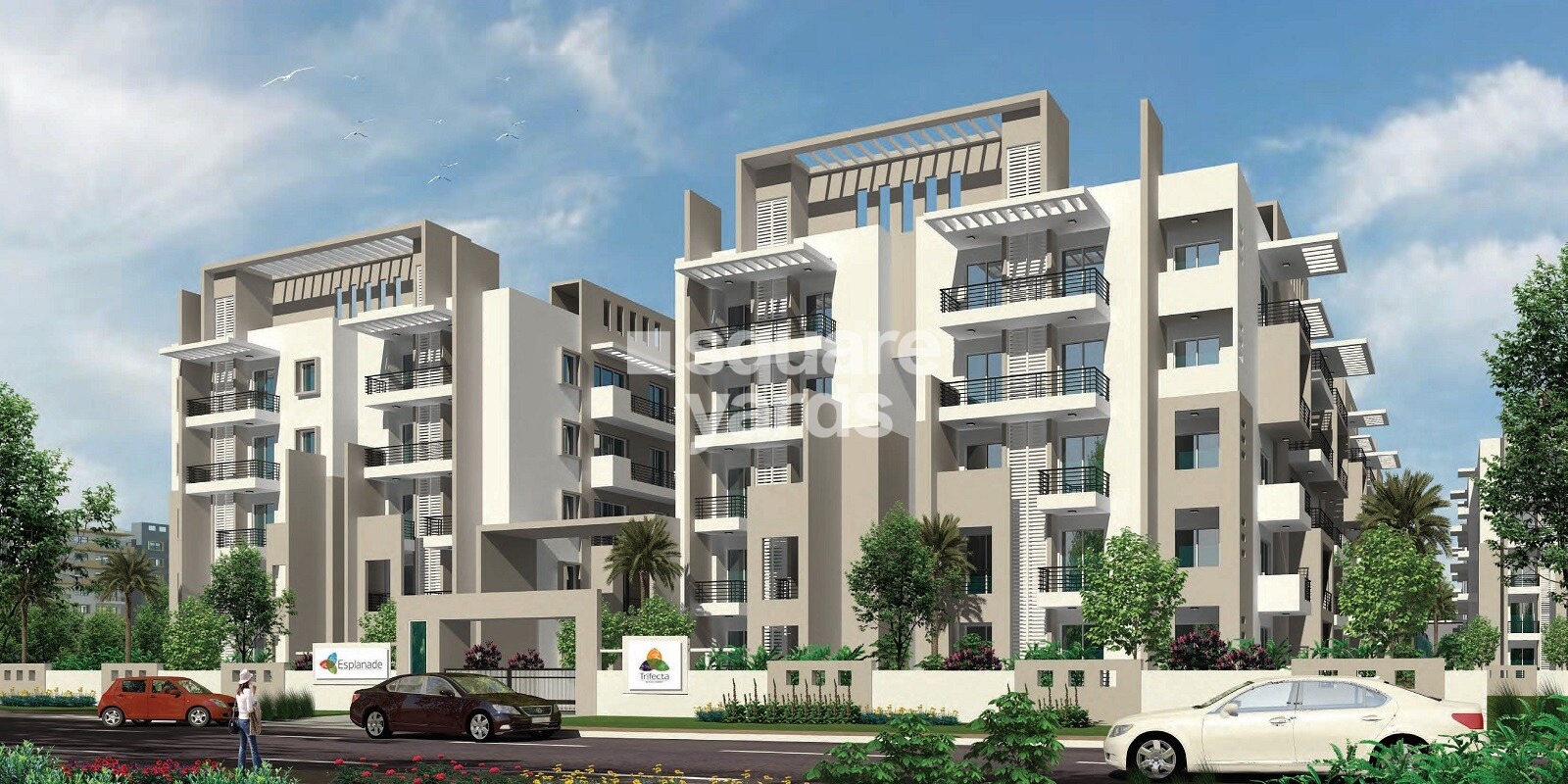 Trifecta Esplanade Featured Image