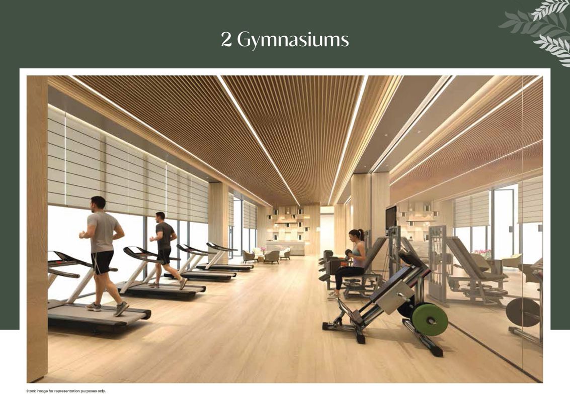 TVS Emerald Altura Gymnasium Image