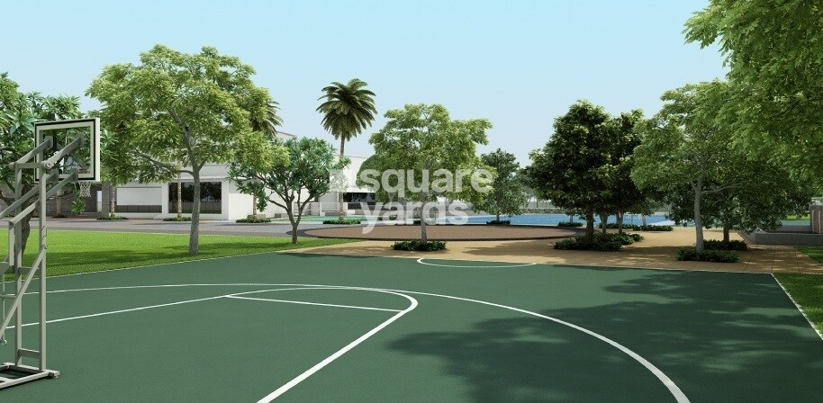 Fortius Under The Sun Sports facilities Image