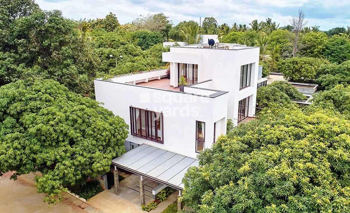 Fortius Under The Sun Tower View