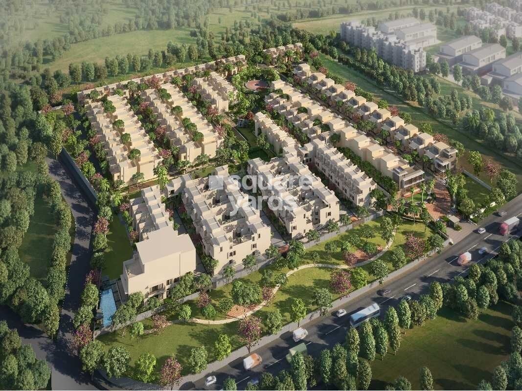 Urban Serenity Tower View