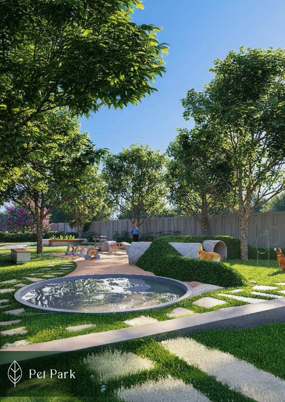 Urbanize Indian Springs