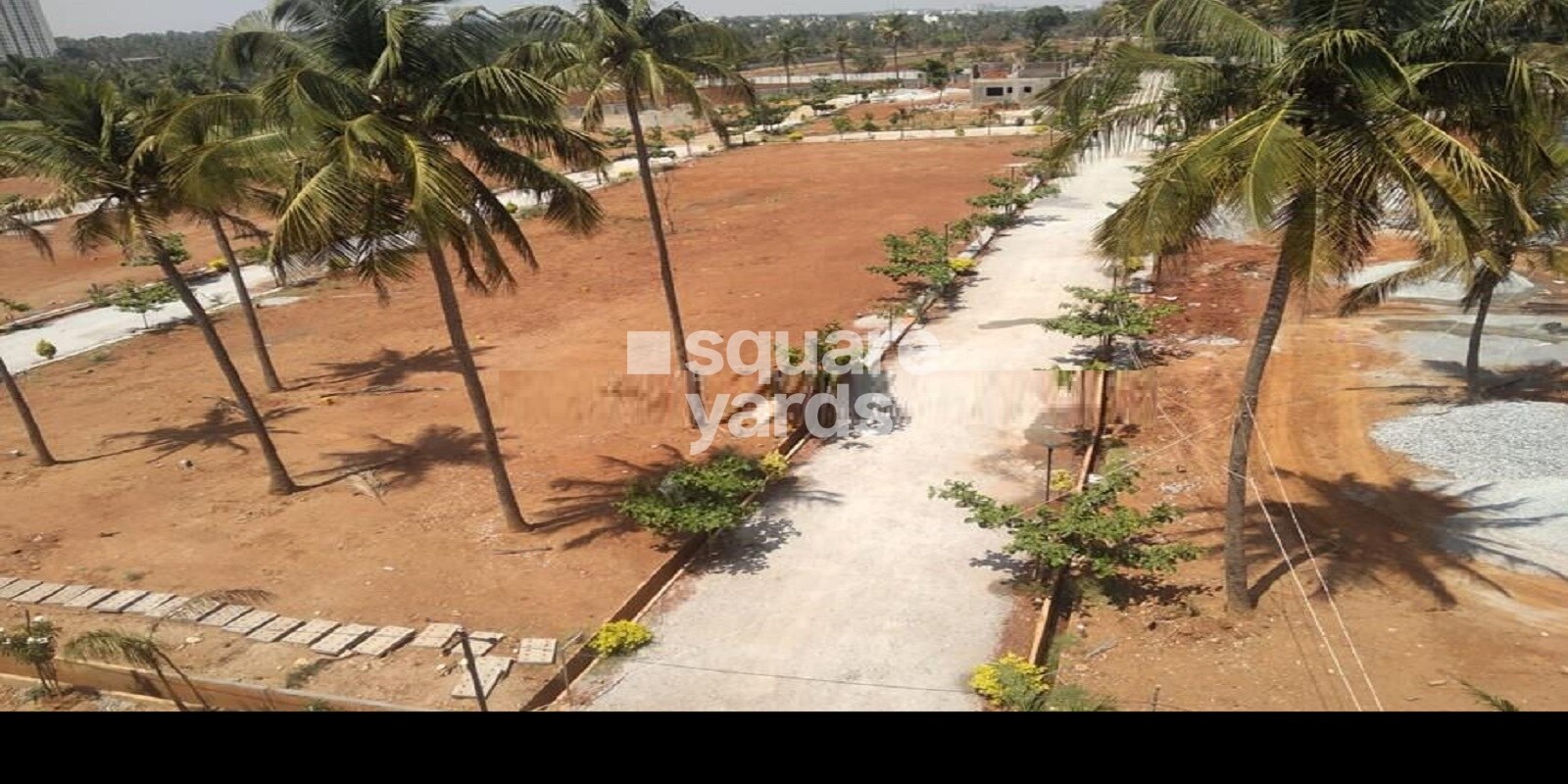 V Forest View