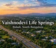 Vaishnodevi Life Springs