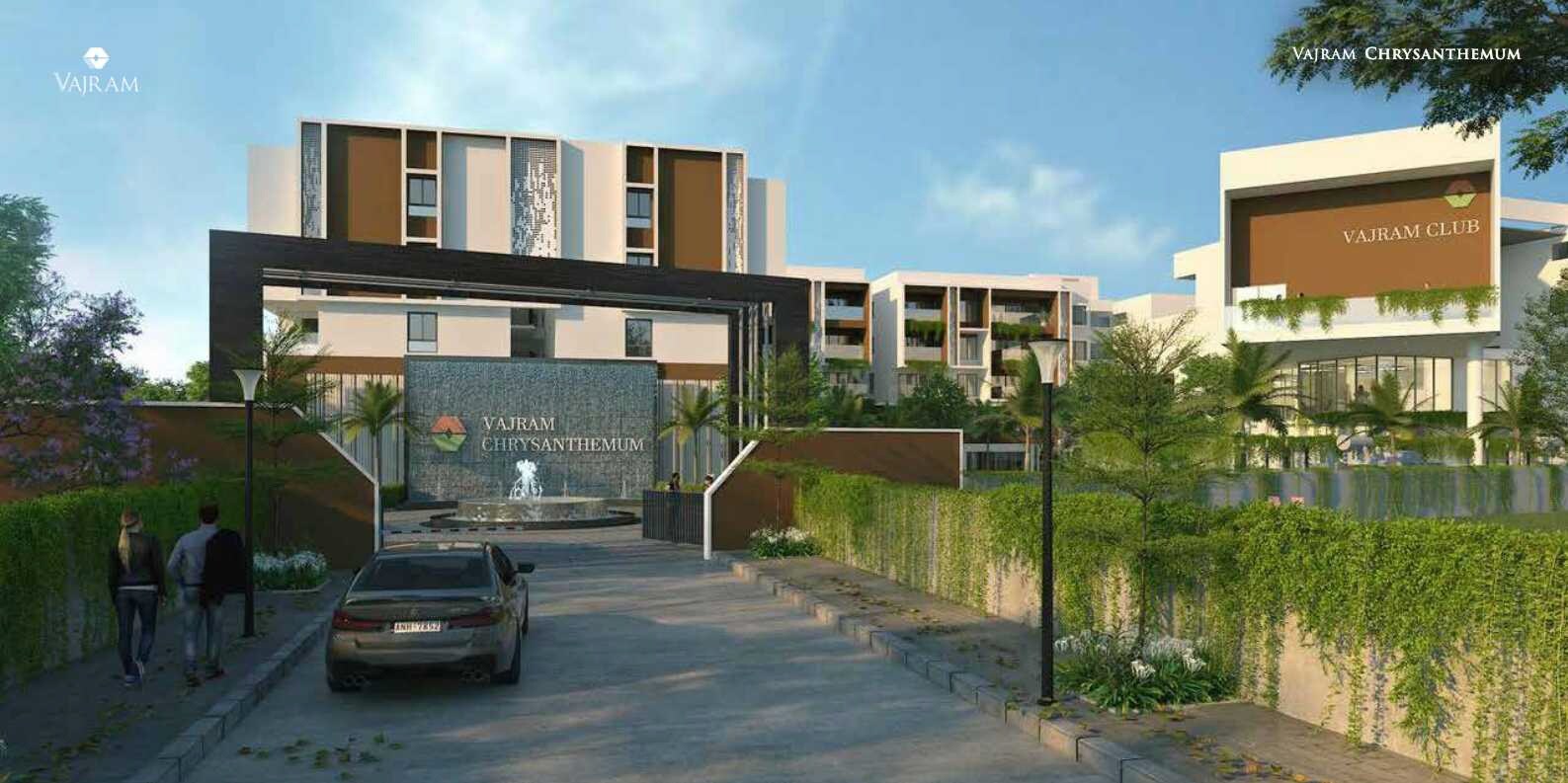 Vajram Chrysanthemum