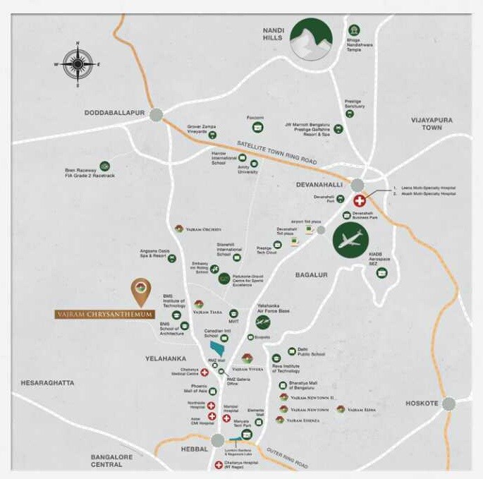 Vajram Chrysanthemum