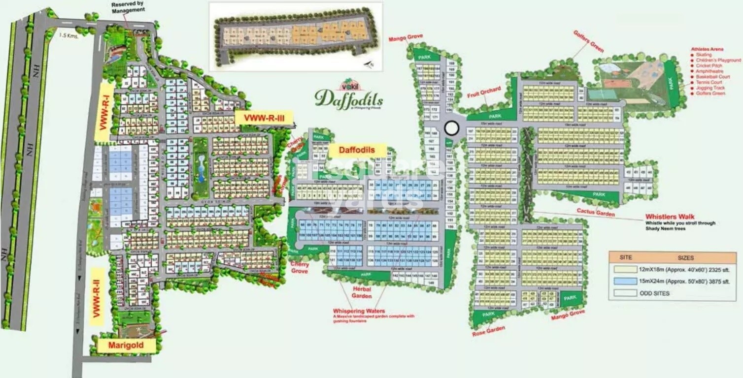 Vakil Daffodils Master Plan 1