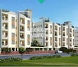 Vakil Whispering Woods