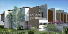 Vaswani Bellevue